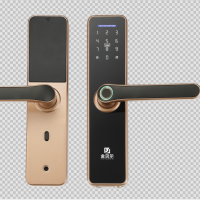 Fingerprint Intelligent smart digital Door Lock with Tuya APP Control